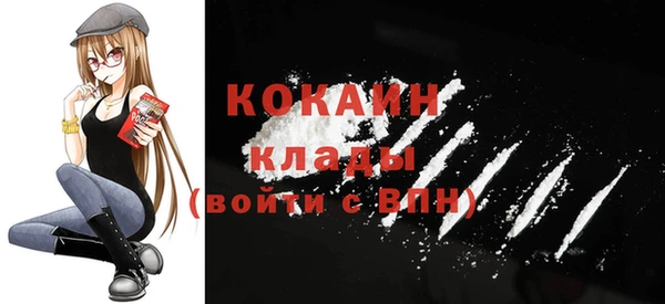 стаф Аркадак
