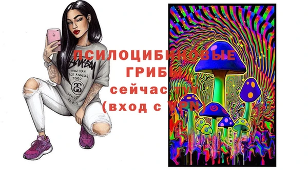 герыч Богородицк