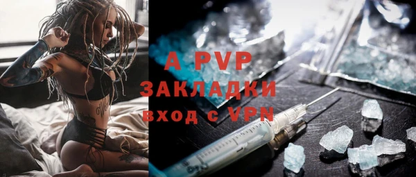 стаф Аркадак