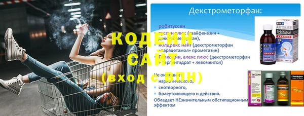 эйфоретик Богданович