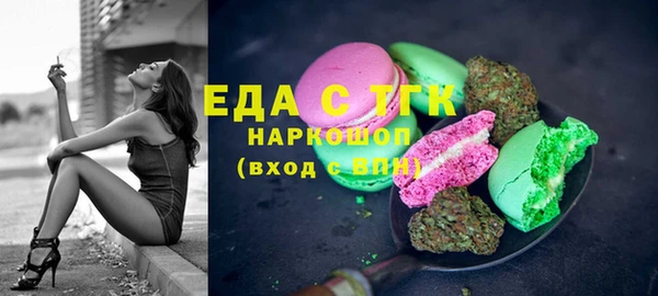 стаф Аркадак