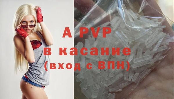 стаф Аркадак