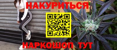 соль ск Новодвинск