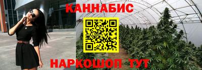 Альфа ПВП Новокубанск