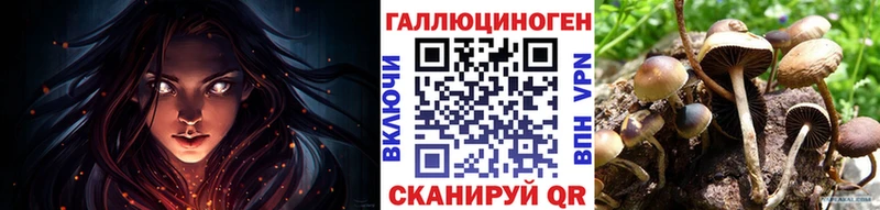 Псилоцибиновые грибы MAGIC MUSHROOMS  Черняховск 