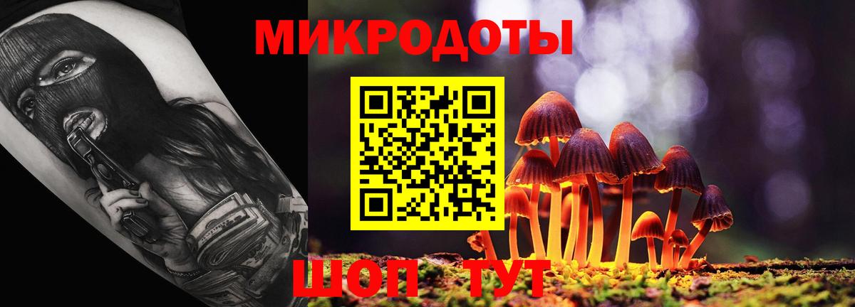 Псилоцибиновые грибы Cubensis Черняховск